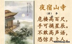 用原诗句回答 不敢高声语是什么意思 不敢高声语这句话是什么意思