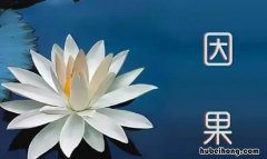 不落因果和不昧因果有什么区别 不落因果,不昧因果