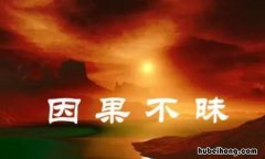 菩萨不动因果是什么意思 菩萨不语却为慈悲开示