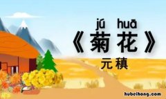 不是花中偏爱菊的下一句是什么意思 不是花中偏爱菊是什么诗