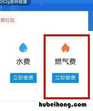 燃气费怎么网上缴费 插卡的燃气费怎么充值