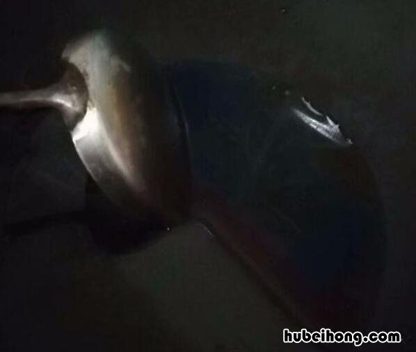 艾叶鸡蛋汤的做法及功效窍门图片 艾叶鸡蛋汤怎么做好吃