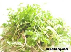 艾草青团制作步骤 艾草青团制作方法