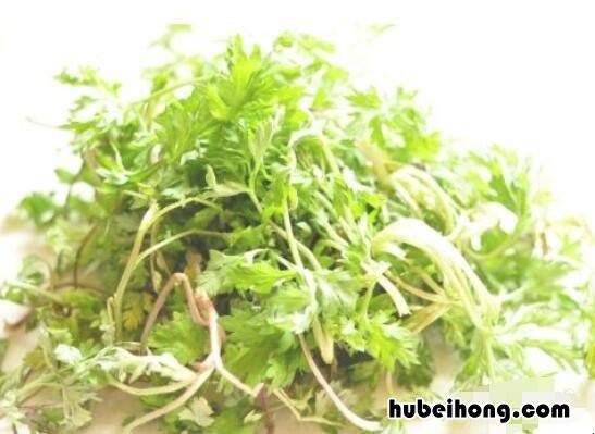 艾草青团制作步骤 艾草青团制作方法