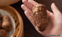 芋头能隔夜吗 芋头隔夜能吃吗
