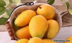 芒果一股子酒味 芒果有股酒味但是看着还是好的