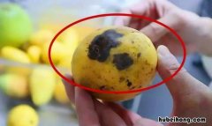 芒果放几天上面有黑斑能不能吃 芒果放几天上面有黑斑还能吃吗