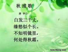 不知明镜里何处得秋霜的意思 不知明镜里,何处得秋霜是什么诗