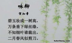 不知细叶谁裁出全诗词? 不知细叶谁裁出前一句