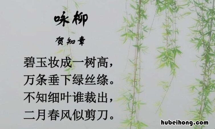 不知细叶谁裁出全诗词? 不知细叶谁裁出前一句