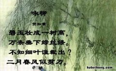 不知细叶谁裁出的意思是什么 不知细叶谁裁出,什么意思?
