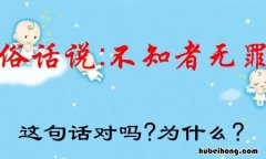 不知者无罪这句话是谁说的名言 不知者无罪是谁说的?