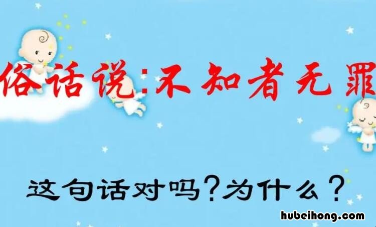 不知者无罪这句话是谁说的名言 不知者无罪是谁说的?