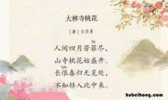 不知转入此中来怎么读 不知转入此中来前面一句