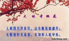 不知转入此中来的前一句 不知转入此中来的转指的是什么