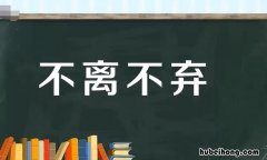 不离不弃前半句 不离不弃后一句