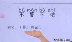 爱莲说的不蔓不枝的枝是什么意思 爱莲说的不蔓不枝的蔓