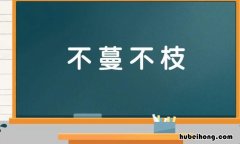 不蔓不枝形容什么 不蔓不枝的拼音是什么
