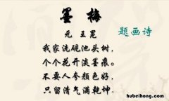 不要人夸好颜色只留清气满乾坤是什么意思