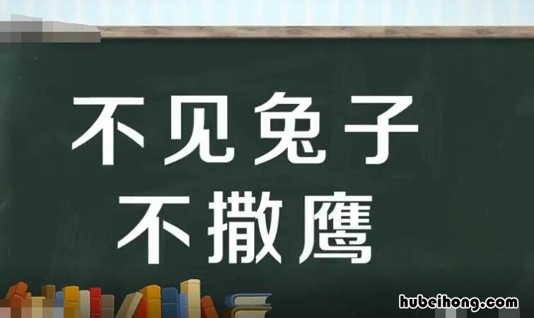 不见兔子不撒鹰后半句 不见兔子不撒鹰上一句