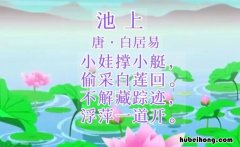 不解藏踪迹的全诗 不解藏踪迹的意思