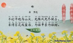 不论平地与山尖的下三句是什么 不论平地与山尖下一句是啥