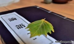 不贰过的意思是什么 不贰过怎么读音