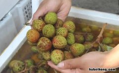 荔枝发黑有味道了还能吃吗为什么 荔枝发黑了可以吃吗
