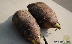 荔浦芋头怎么存放不会坏 荔浦芋头怎样保存一年不烂