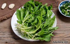 荠菜功效禁忌和副作用 荠菜的功效和禁忌