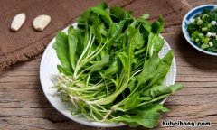 荠菜开花后 荠菜开花长什么样子图片