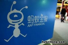 蚂蚁车险没有不计免赔了吗 蚂蚁车险比外面便宜多少