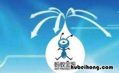 蚂蚁车险能查到电子保单吗 蚂蚁保险买车险多久寄过来