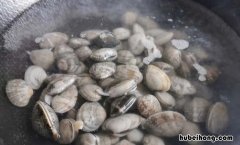花甲当天不吃怎么存放时间长 花甲当天不吃怎么存放不会坏