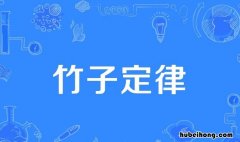 竹子定律什么意思 竹子定律说明了什么道理