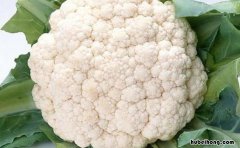 花菜有何营养 花菜营养价值与功效