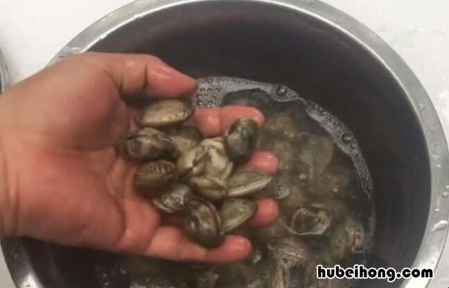 花蛤怎么洗才干净