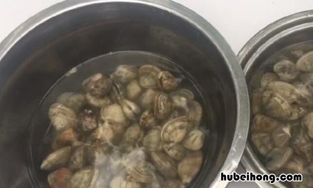 花蛤怎么洗才干净