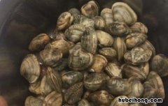 花蛤怎么洗才干净