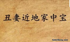 丑妻近地家中宝是什么意思? 丑妻近地家中宝下一句是
