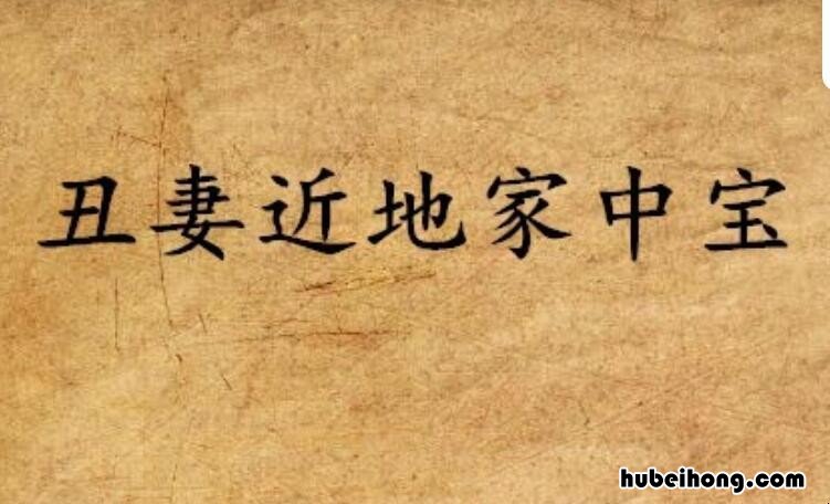 丑妻近地家中宝是什么意思? 丑妻近地家中宝下一句是