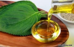 苏子油的用处 苏子油制作方法