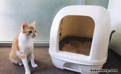 猫不用猫砂盆怎么办 猫砂盆哪种款式比较好