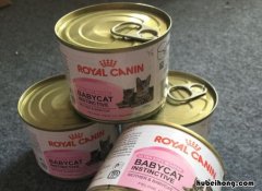 猫罐头放冰箱可以放多少天啊 猫罐头放冰箱可以放多少天不坏