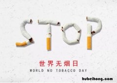 世界无烟日手抄报线稿 世界无烟日手抄报简单漂亮 一等奖