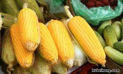 玉米放冰箱冷藏还是冷冻 玉米放冰箱冷藏还是冷冻好