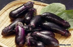 茄子保存需要放冰箱吗 茄子要冷藏保存吗