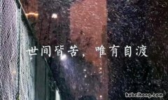世间皆苦唯有自渡出自哪本书 世间皆苦唯有自渡翻译成英文