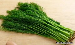 茴香能速冻吗 茴香冻了有毒吗