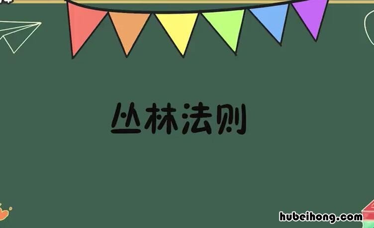 丛林法则的出处 丛林法则这个词怎么解释?